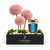 A flower arrangement gift set from Flowrista featuring three pink allium-like flower balls in a black rectangular planter with white stones and green moss, alongside a clear jar of Tile Blue potting mix with a gold lid, on a white background.