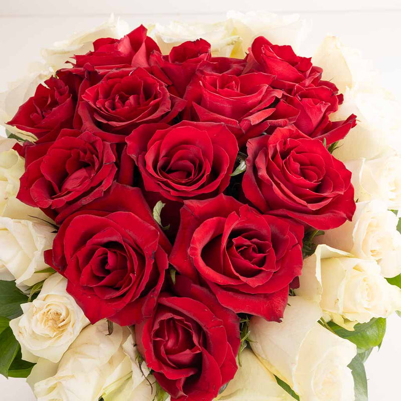 Flowrista Timeless Red & White Rose Box