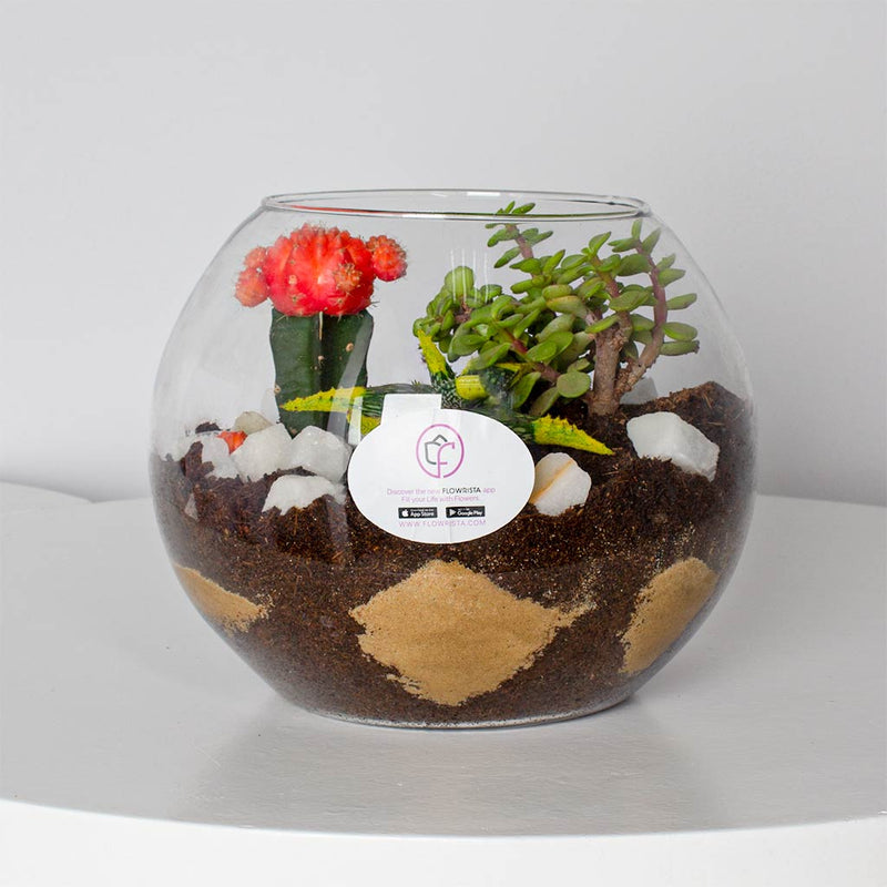 Red Moon Cactus Vase