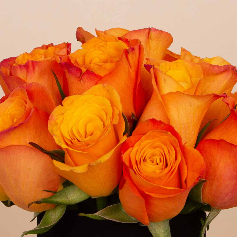 Sunset Ember Vase - 20 Orange Roses