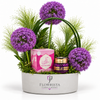 Mamoul Saher Al.Kalmat with Artificial Purple Allium Flower Arrangement
