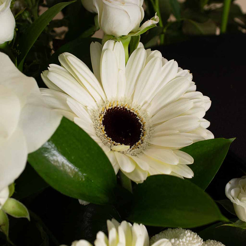 Luxury Graduation Box - 34 Flowers & Graduation Cap