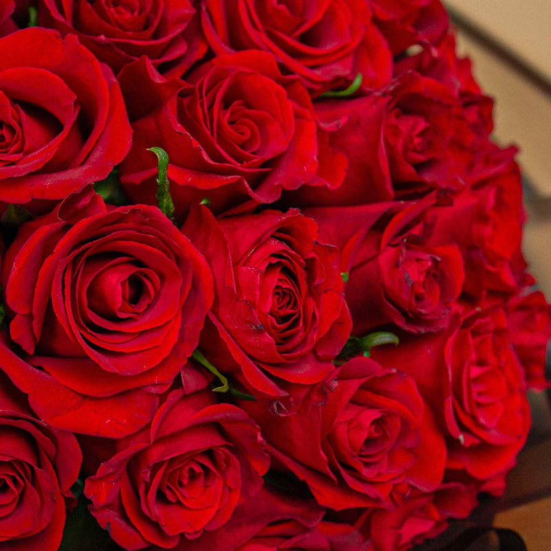 Red Roses Bouquet | 25 Roses
