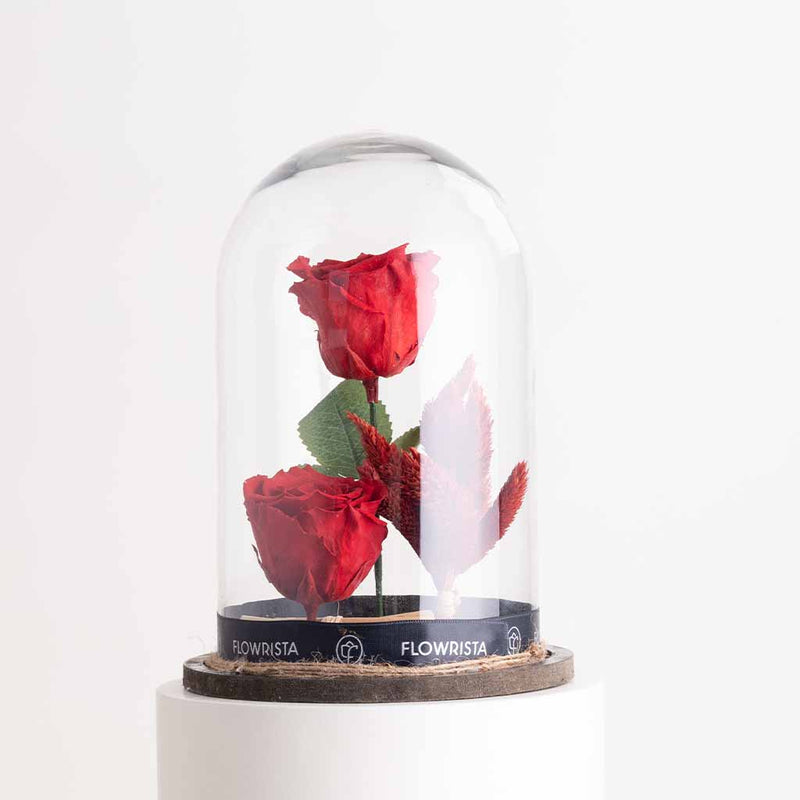 Double Red Eternity Rose