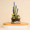 Desert Bloom Vase