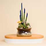 Desert Bloom Vase