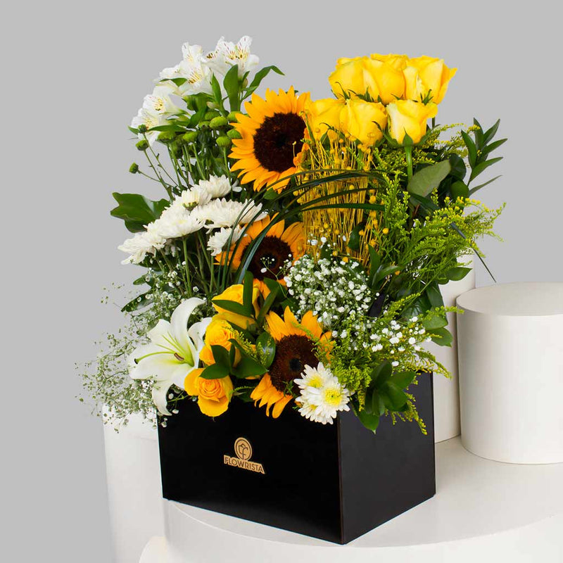 Yellow and White