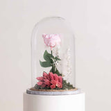 Pink Eternity Rose