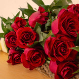 Simply Red – Red Roses