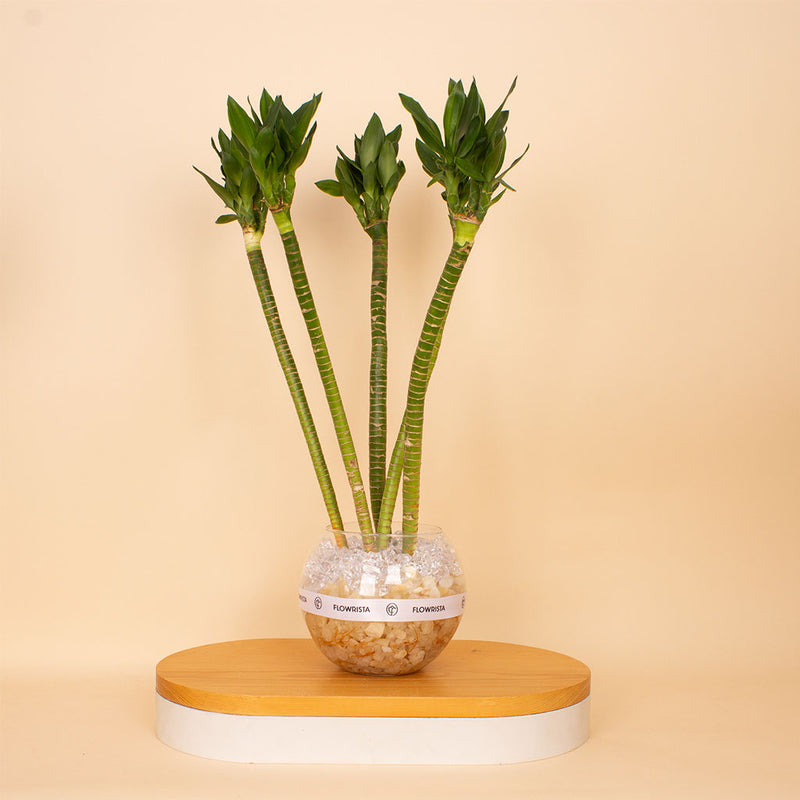 Lotus Bamboo Vase