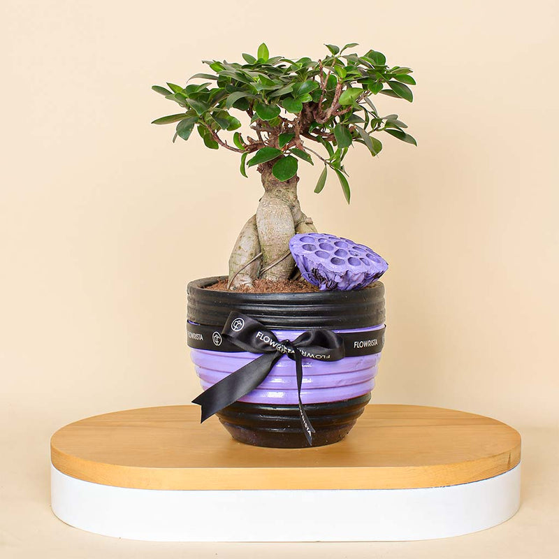 Versatile Decor Piece: Pottery Pot Vase for Luxury Interiors