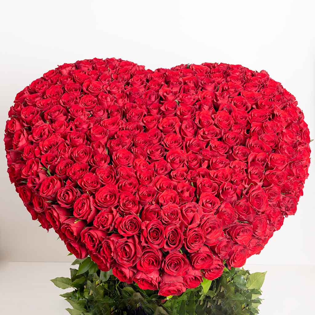 Eternal Love Red Roses | 300 Roses