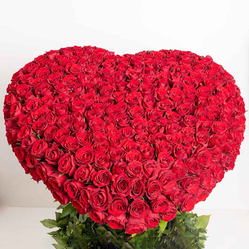 Eternal Love Red Roses | 300 Roses