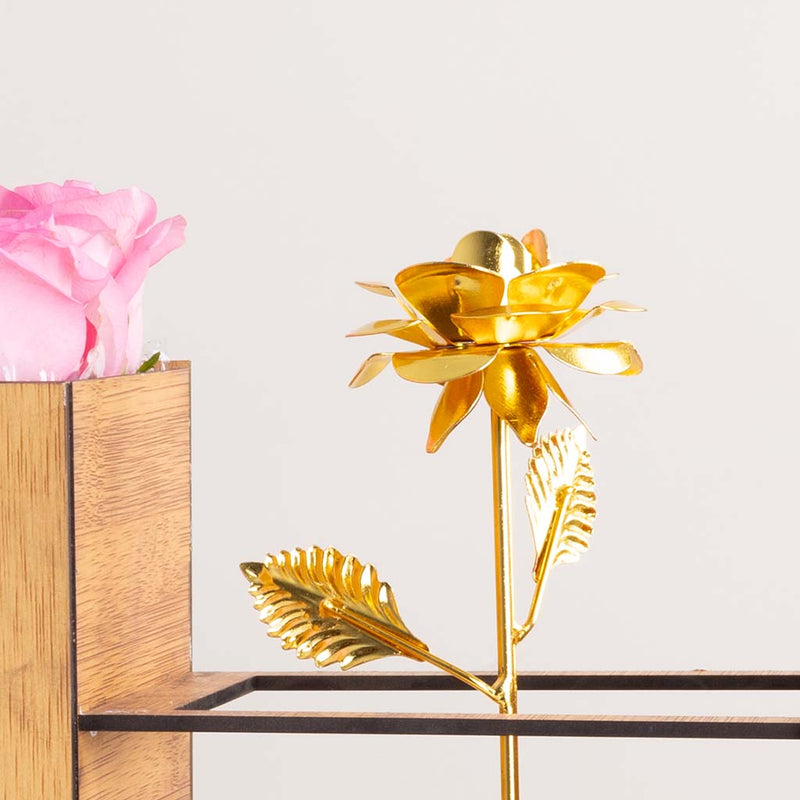 Golden Tenderness Box