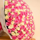250 Pink And White Roses bouquet