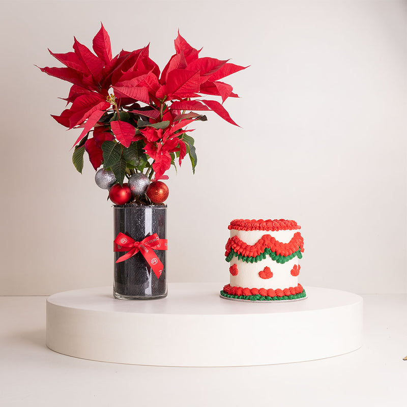 Ninos Cake Classic Celebration Edition & Poinsettia Vase