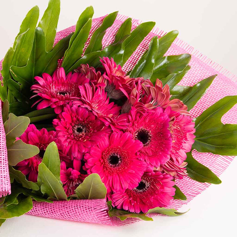 Fuchsia Gerbera Bouquet