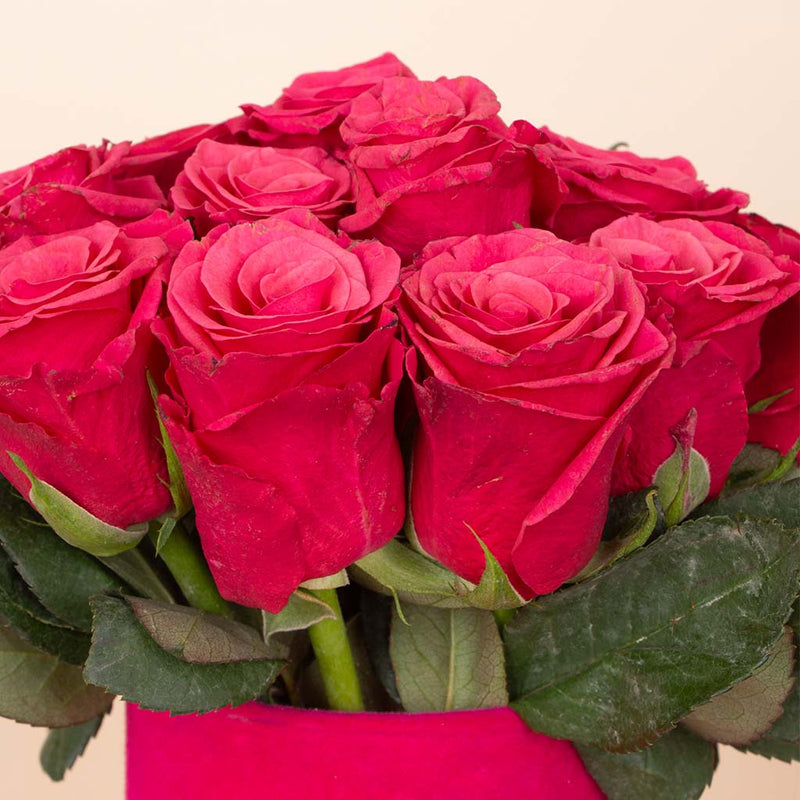 Fuchsia Whisper Vase - 20 Stems