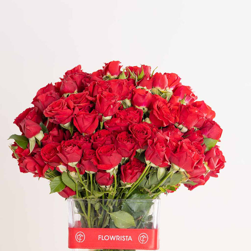 Red Baby Roses Vase - 30 Stems