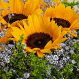 Dazzling Sunflower Bouquet