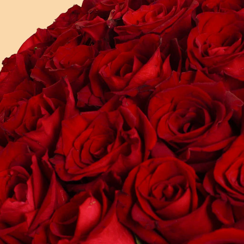 Flowrista | Grand Bouquet of 150 Red Roses