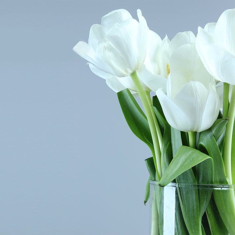 Snow White Tulip Vase