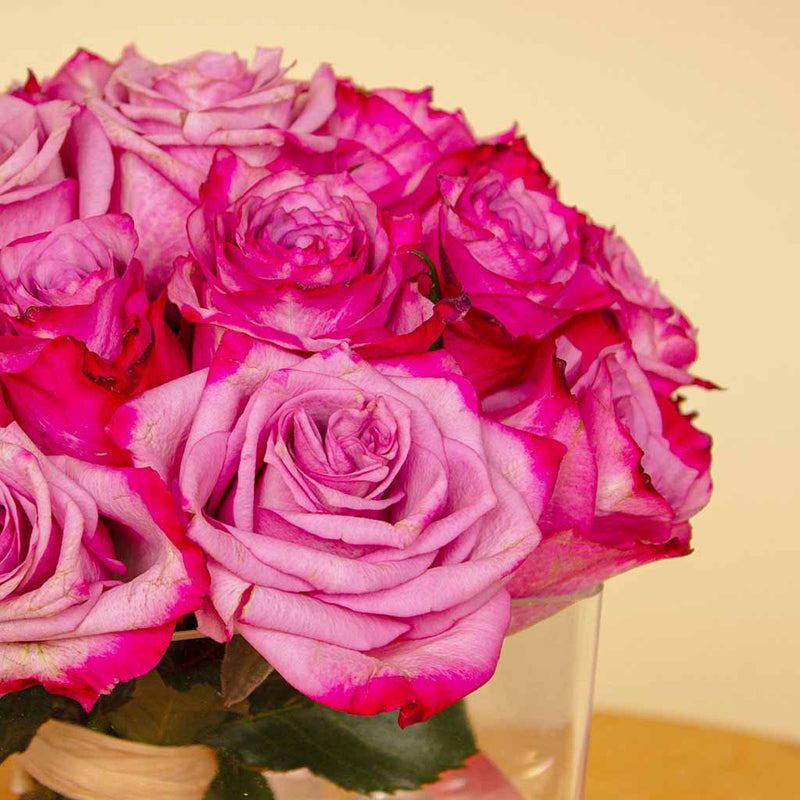 Deep Purple Roses Cube Vase – 20 Flowers