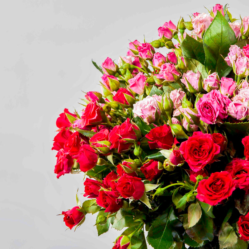 Flowrista | Pink & Red Baby Roses Bouquet