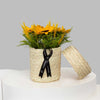 Sunflowers Box