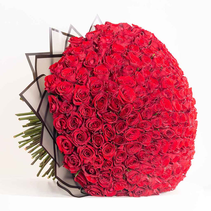 250 Red Roses Grand Bouquet