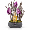 A premium gift set featuring Abdul Samad Al Qurashi Warm Vanilla 50ml perfume paired with deep purple roses in an elegant concrete vase, crafted by Flowrista. Perfect for luxury gifting in Dubai.