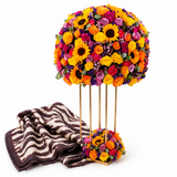 Mango Chocolate Zebra Animal Print Scarf with Flowrista Vibrant Sunflower & Mixed Roses Tower