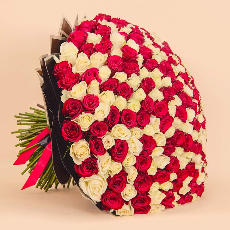 Flowrista | Grand Bouquet of 250 Red & White Roses