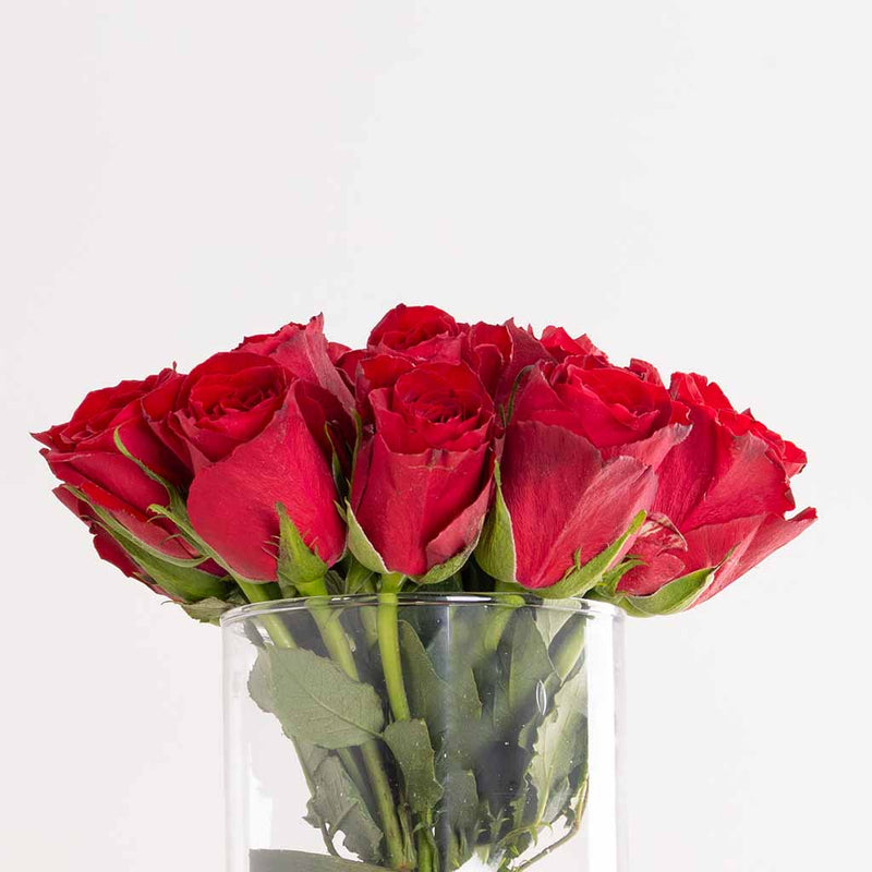 Rouge Noir Vase