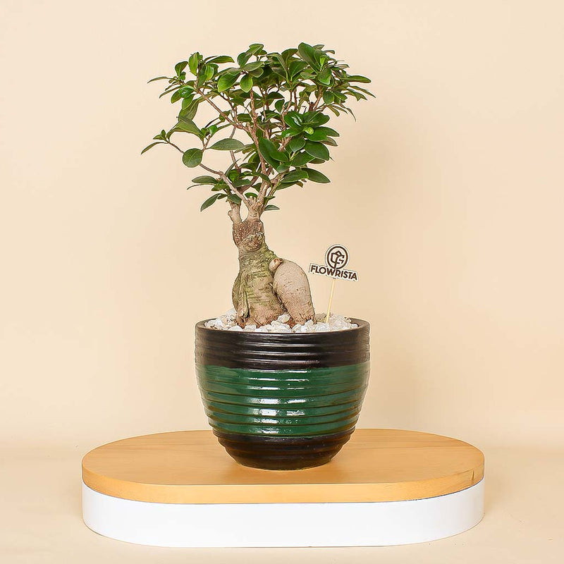 Natural Touches Vase