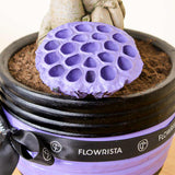 Versatile Decor Piece: Pottery Pot Vase for Luxury Interiors