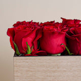 Romance