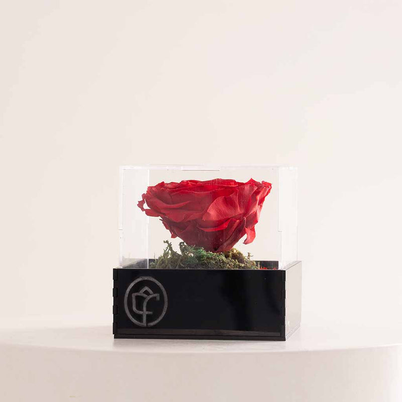 Eternity Rose Box