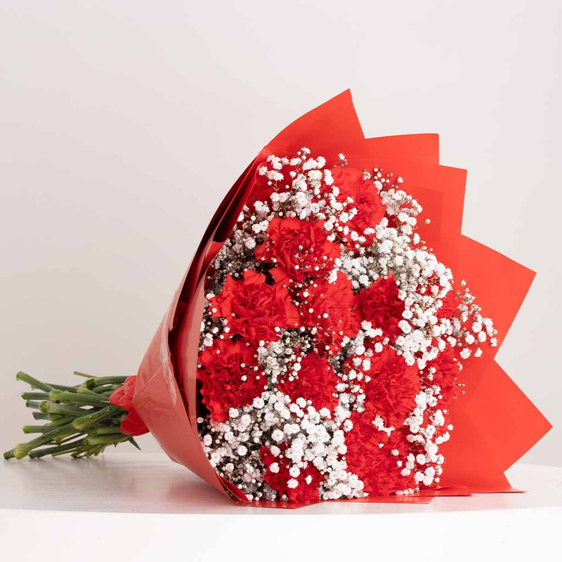 Carnation Rose Harmony