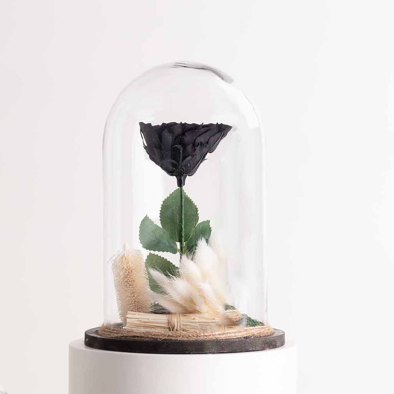 Black Eternity Rose