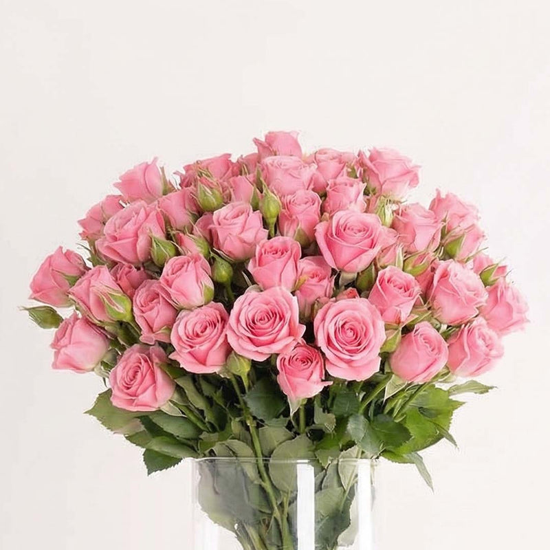 Pink Baby Roses Vase - 20 Stems