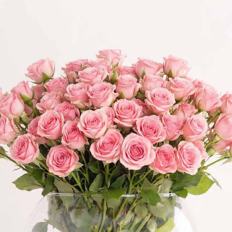 Pink Baby Roses Vase - 20 Stems
