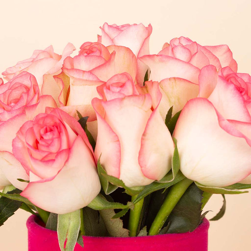 Jomilia Whisper Vase - 20 Stems