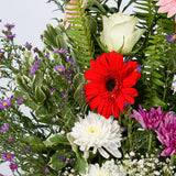 Garland