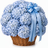 Blue Hydrangea Basket Only