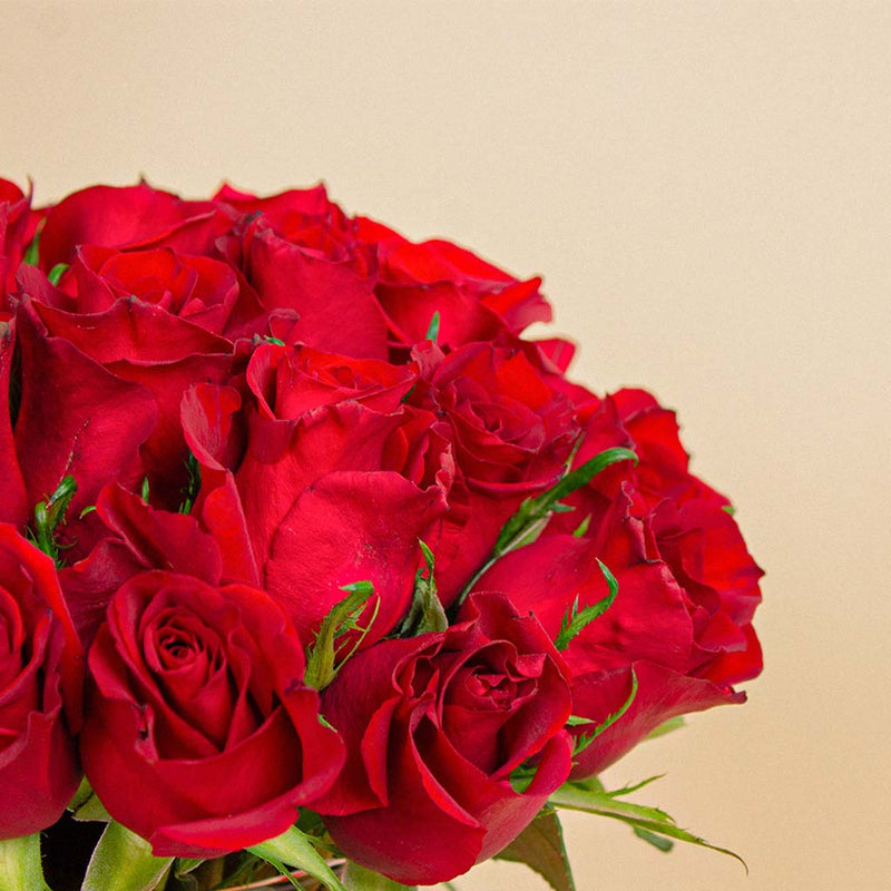 Romance in Bloom Vase | 30 Red Rose