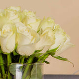 Timeless Gift: Lazaro Lil Smart Gray & 25 White Roses