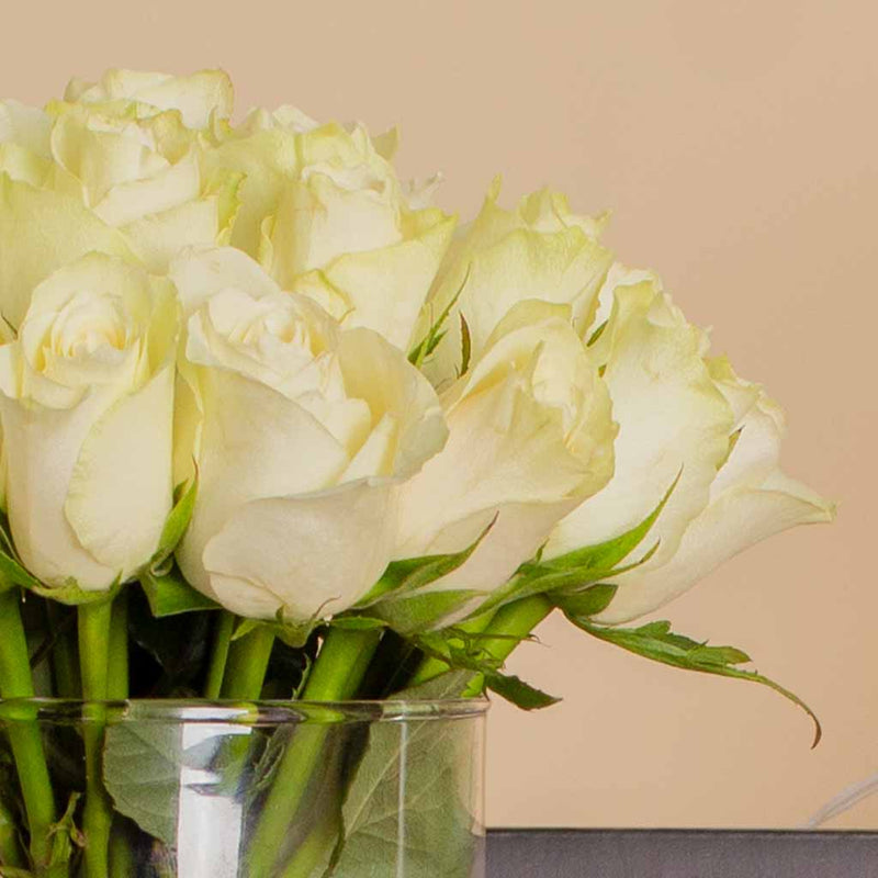 Timeless Gift: Lazaro Lil Smart Gray & 25 White Roses