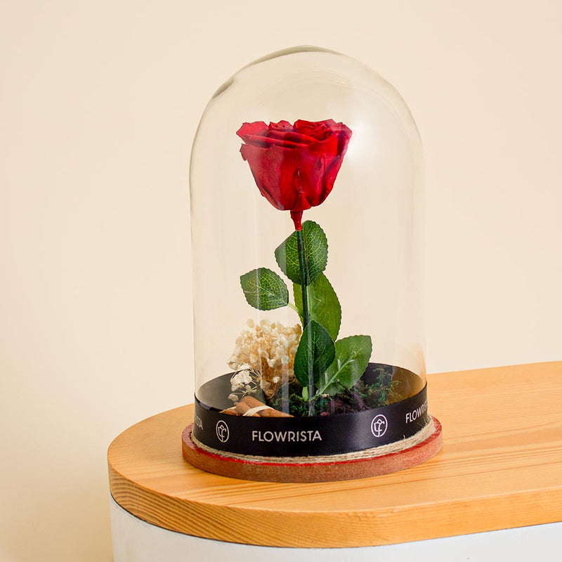 Red Eternity Rose