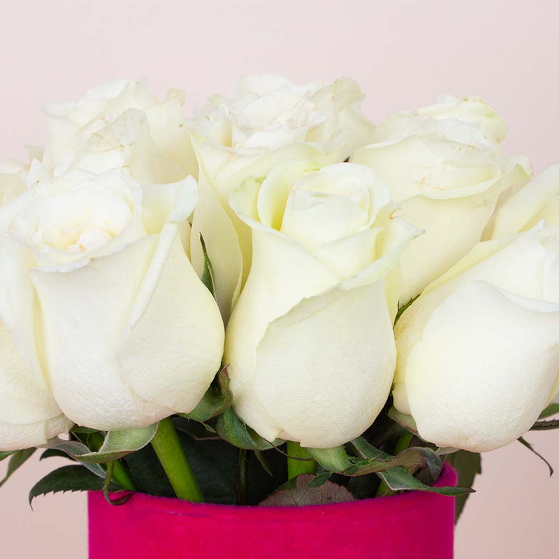 White Whisper Vase - 20 Stems
